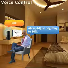 Controller LED Dimmer Wi-Fi 5 in 1 per Strisce Led con Ingressi App per Smartphone Tuya, Alexa, Google Home, Telecomando RF. Perfetto per Strip Led RGB, RGBW, RGB+CCT, Bianco Dinamico